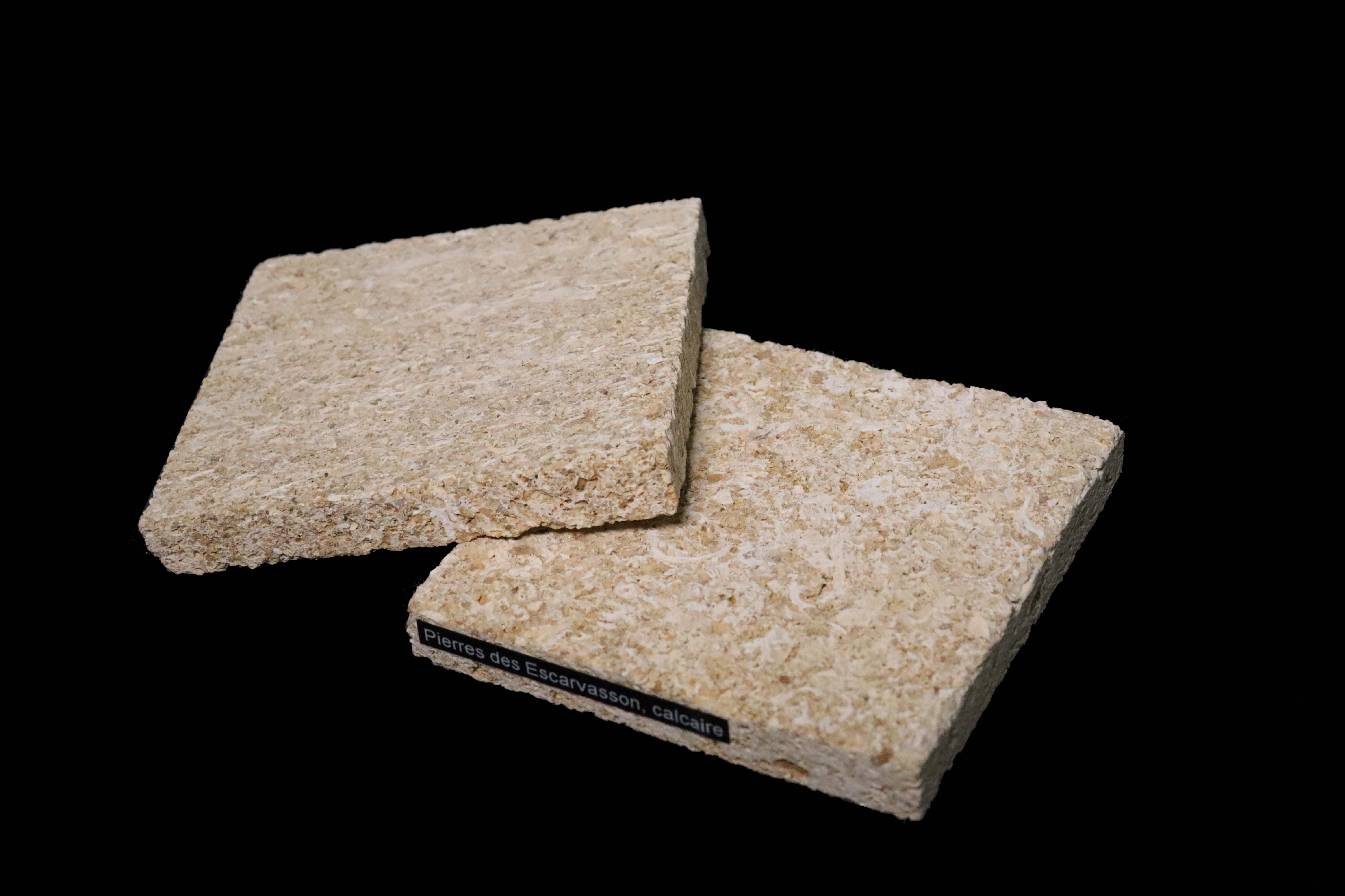 MicrosoftTeams-image (3).png